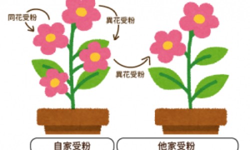 正确和正确的区别在哪-正确与的区别网—知名的正确的区别溢奶与呕吐网站,分享正确和正确的区别在哪知识